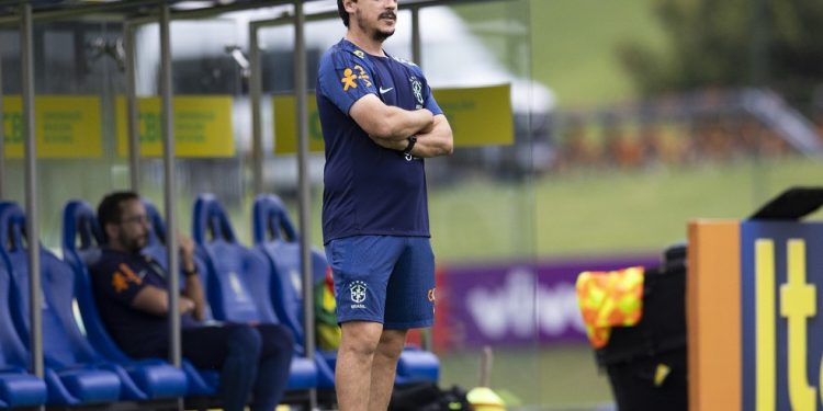 Diniz define Brasil para enfrentar Argentina com trocas na lateral e no ataque