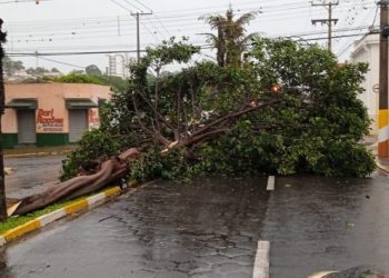 TEMPORAL DANIFICOU 60 CASAS E DEIXOU MAIS DE 20 FAMÍLIAS DESALOJADAS EM AVARÉ