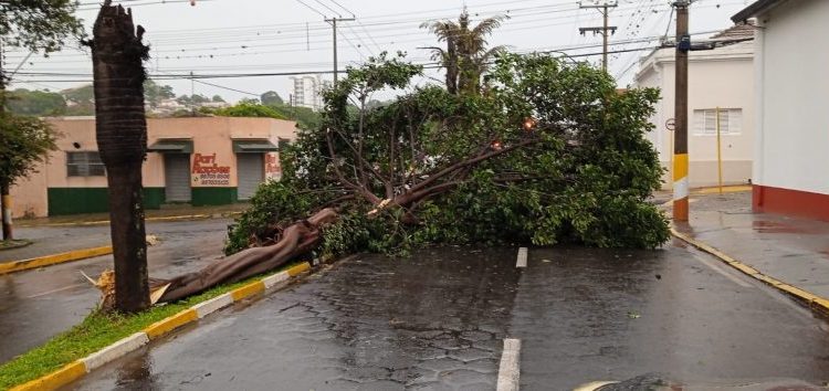 TEMPORAL DANIFICOU 60 CASAS E DEIXOU MAIS DE 20 FAMÍLIAS DESALOJADAS EM AVARÉ