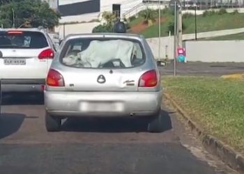 Motorista que colocou bezerro no porta-malas de carro de passeio será multado em R$ 3 mil e responderá por crime