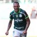 Palmeiras vence Flu e está garantido na fase de grupos da Libertadores pela 9ª vez seguida