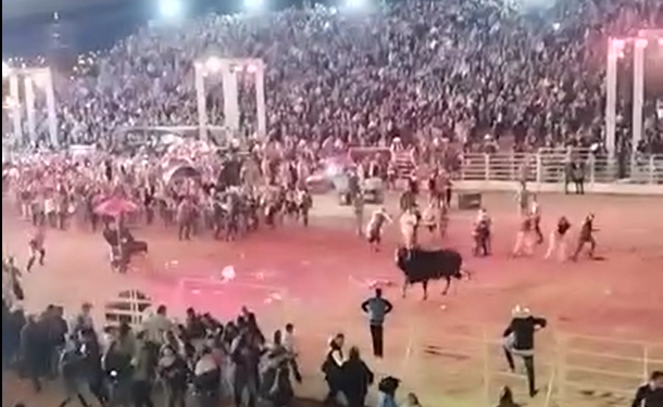 BOI ESCAPA, INVADE ARENA E PARTE PARA CIMA DO PÚBLICO QUE AGUARDAVA SHOW DE ANA CASTELA NA EMAPA;
