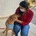 Deputada federal Simone Marquetto apresenta emenda de Medida Provisória que permite dedução no IR para donos de cães e gatos