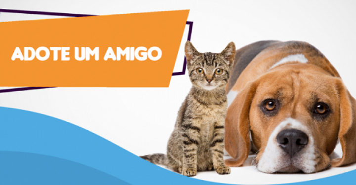 HVET EDUVALE PROMOVERÁ PRIMEIRA FEIRA DE ADOÇÃO DE CÃES E GATOS