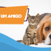HVET EDUVALE PROMOVERÁ PRIMEIRA FEIRA DE ADOÇÃO DE CÃES E GATOS