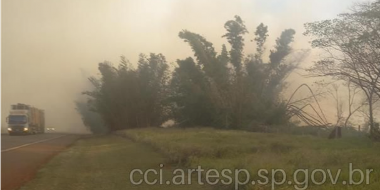 INCÊNDIO EM MATA CAUSA BAIXA VISIBILIDADE E LENTIDÃO NA SP-255 EM AVARÉ