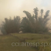 INCÊNDIO EM MATA CAUSA BAIXA VISIBILIDADE E LENTIDÃO NA SP-255 EM AVARÉ