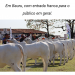 Em Bauru, com entrada franca para o público em geral.
