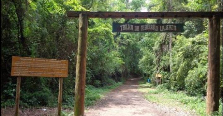 Trilha Ecológica do Horto de Avaré está fechada por risco de incêndio