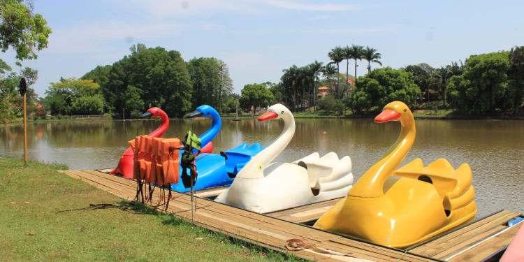 MEIO AMBIENTE – Crianças têm passeio gratuito de pedalinho neste domingo, 20, no Horto Florestal