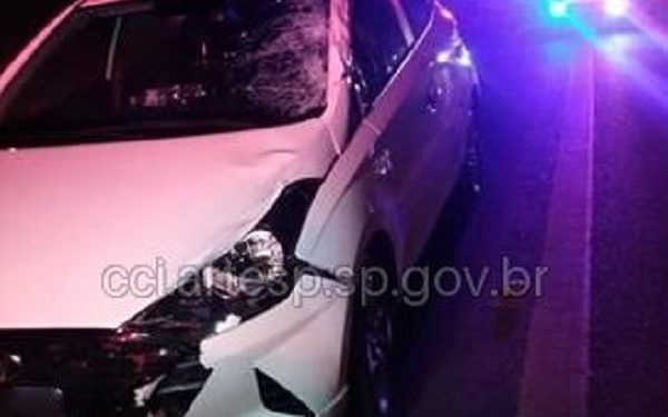 HOMEM MORRE APÓS SER ATROPELADO NA SP-255 EM AVARÉ