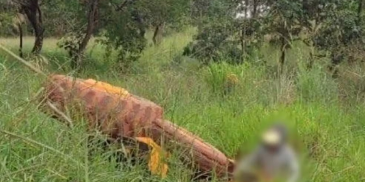 Produtor rural morre esmagado por trator em Fartura