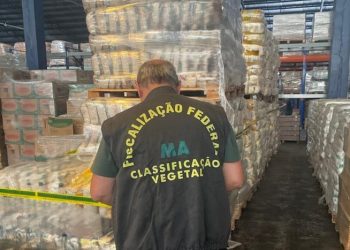 No interior de SP, fiscais do Mapa apreendem  arroz tipo 5 identificado como tipo 1, de melhor qualidade