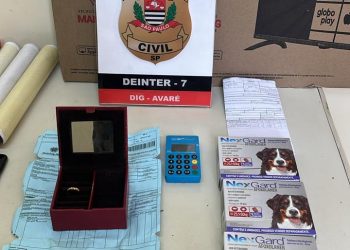 AVARÉ – Cachorra da raça Pitbull em estado de desnutrição é resgatada pela Polícia Civil