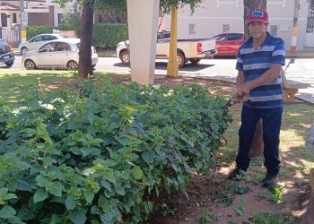 SERVIÇOS – Capina e limpeza são realizadas em ruas e praças de Avaré
