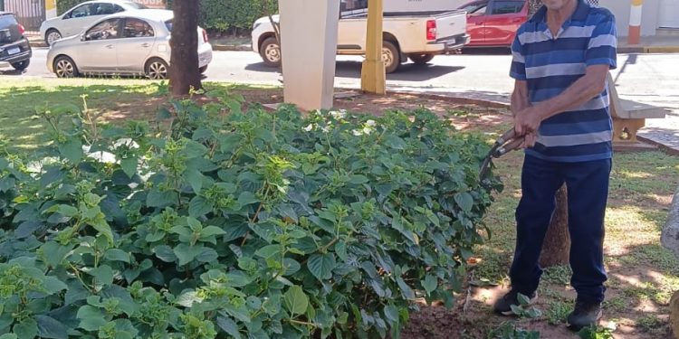 SERVIÇOS – Capina e limpeza são realizadas em ruas e praças de Avaré
