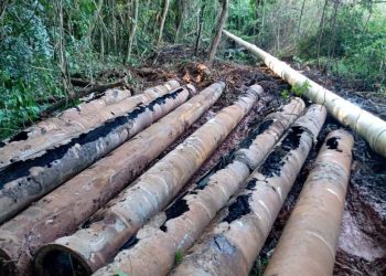 Avaré –  SABESP TROCA TUBULAÇÃO APÓS VAZAMENTO DE ESGOTO NO HORTO FLORESTAL DE AVARÉ