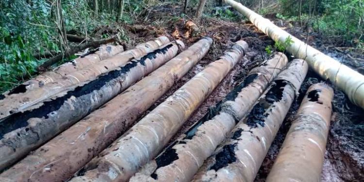 Avaré – SABESP TROCA TUBULAÇÃO APÓS VAZAMENTO DE ESGOTO NO HORTO FLORESTAL DE AVARÉ