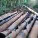 Avaré – SABESP TROCA TUBULAÇÃO APÓS VAZAMENTO DE ESGOTO NO HORTO FLORESTAL DE AVARÉ