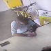 HOMEM É FLAGRADO FURTANDO CELULAR EM AGÊNCIA DOS CORREIOS DE AVARÉ;