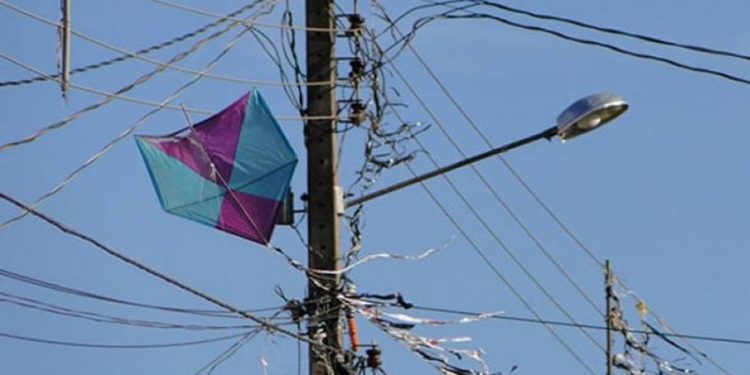 OCORRÊNCIAS COM PIPAS CAUSARAM 55 INTERRUPÇÕES NO SISTEMA ELÉTRICO DA REGIÃO DE AVARÉ EM 2024