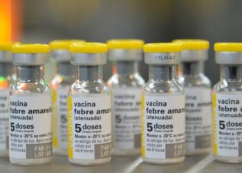 São Paulo confirma primeiro caso de febre amarela em humano em 2025