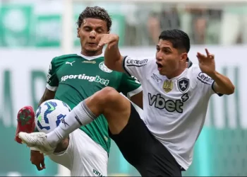 Palmeiras empata com o Botafogo no Allianz Parque