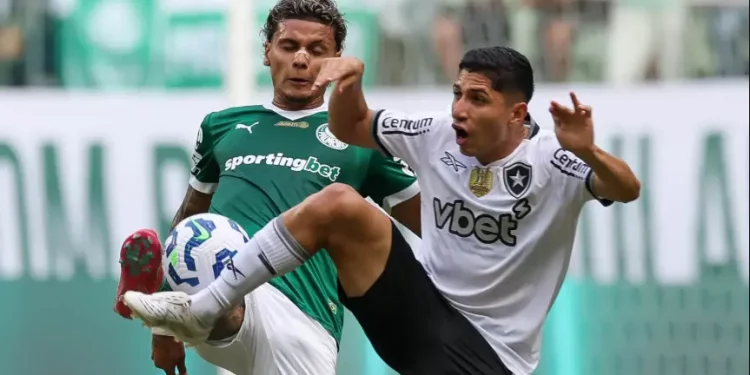 Palmeiras empata com o Botafogo no Allianz Parque