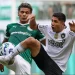 Palmeiras empata com o Botafogo no Allianz Parque