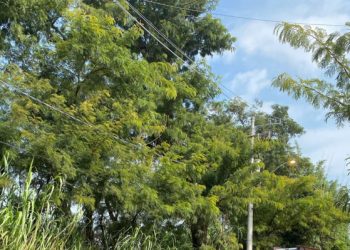 Homem é acusado de furtar energia elétrica no centro de Araçoiaba da Serra