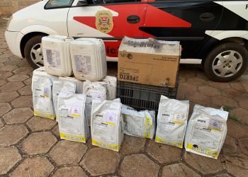 Polícia Civil apreende agrotóxicos abandonados em área rural de Arandu