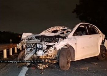 Motorista morre após atropelar cavalo na Raposo Tavares