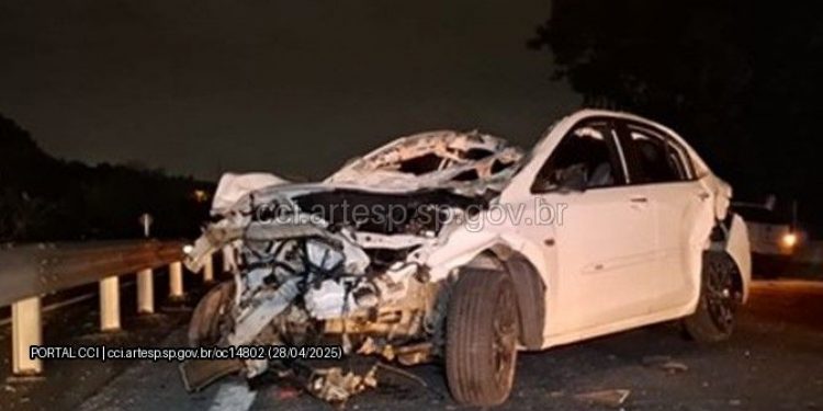 Motorista morre após atropelar cavalo na Raposo Tavares