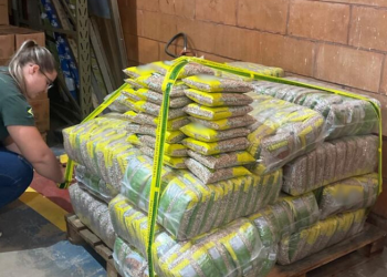 Mapa apreende em Araraquara 32 toneladas de arroz e feijão com disparidade de tipo Produtos encontrados em uma rede de supermercados tinham excesso de defeitos, segundo análise laboratorial do Ministéroi