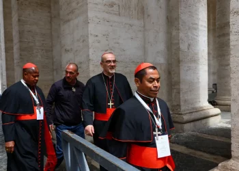 Cardeais brasileiros em Roma têm reunião agendada com papa Leão XIV