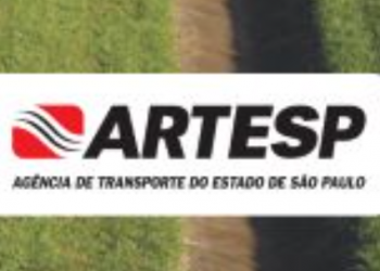 Rascunho automático