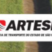 Rascunho automático