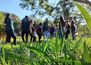 Alunos participam do plantio de mudas nativas no Horto Florestal