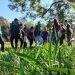 Alunos participam do plantio de mudas nativas no Horto Florestal