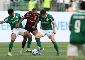 Palmeiras é derrotado pelo Flamengo no Allianz Parque
