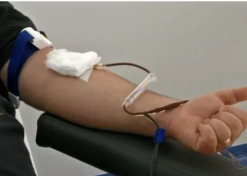 AVARÉ TEM MUTIRÃO PARA DOAÇÃO DE SANGUE AO HEMOCENTRO DE BOTUCATU; SAIBA COMO PARTICIPAR