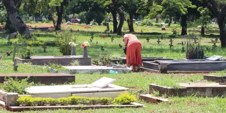 Taxa de homicídio cai, mas violência matou 45,7 mil no Brasil em 2023