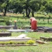 Taxa de homicídio cai, mas violência matou 45,7 mil no Brasil em 2023