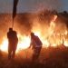 SEGURANÇA Defesa Civil controla incêndio na região rural de Avaré