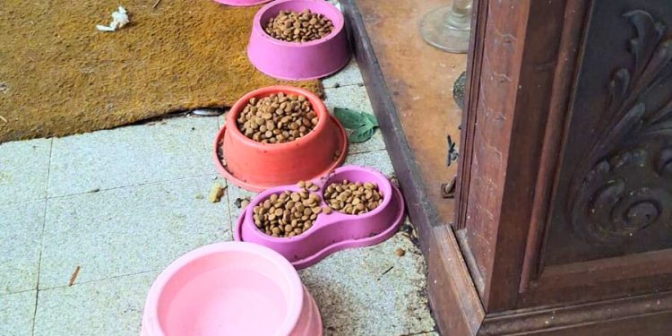 AVARÉ Idosa é acolhida após ser encontrada acamada e sem cuidados adequados