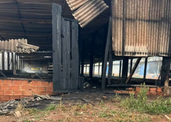 INCÊNDIO ATINGE GRANJA E MATA MAIS DE 17 MIL PINTINHOS EM AVARÉ