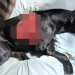 IRMÃOS SÃO PRESOS POR MAUS-TRATOS A ANIMAIS EM AVARÉ