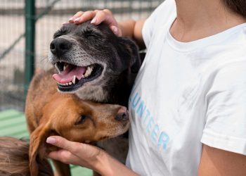 Fundo Social de Avaré doa 150 cobertores ao Amor de Quatro Patas