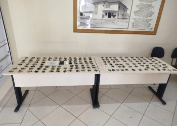 Tráfico de Drogas em Cerqueira César