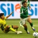 Palmeiras mantém marca negativa após empate com Mirassol no Allianz Parque